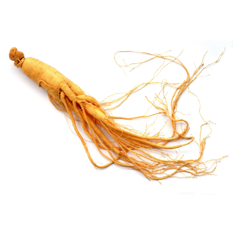 Ginseng