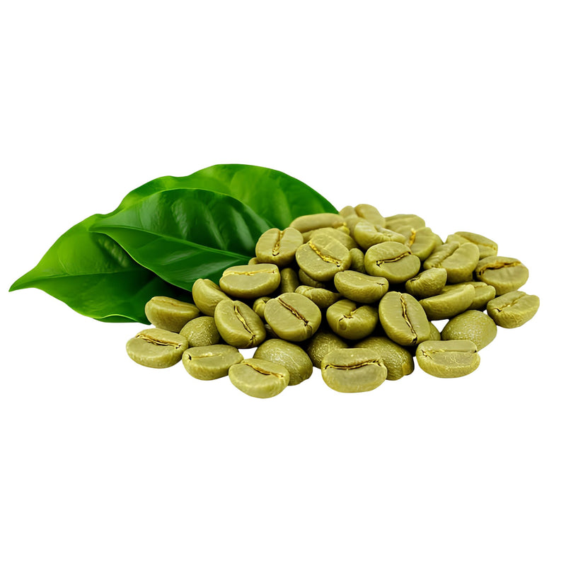 Green Coffee Seeds