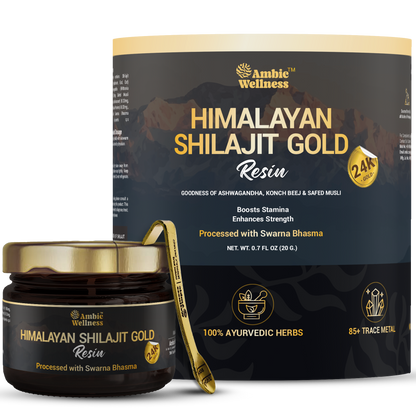 Ambic Wellness Himalayan Shilajit Gold Resin I Shilajit Original with 77%+ Fulvic Acid I Boosts Performance I Contains 24 Carat Gold