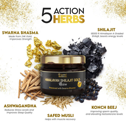 Ambic Wellness Himalayan Shilajit Gold Resin I Shilajit Original with 77%+ Fulvic Acid I Boosts Performance I Contains 24 Carat Gold