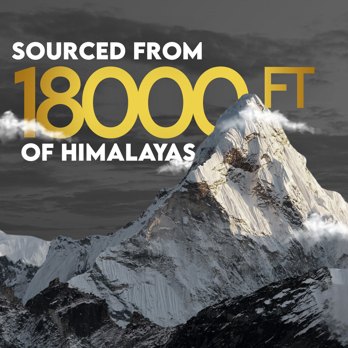 Himalaya Shilajit Gold 20Gm