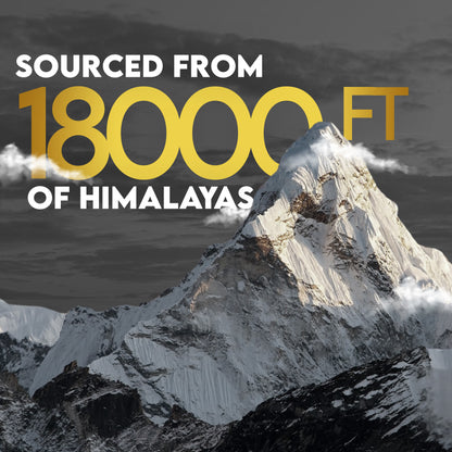 Ambic Wellness Himalayan Shilajit Gold Resin I Shilajit Original with 77%+ Fulvic Acid I Boosts Performance I Contains 24 Carat Gold