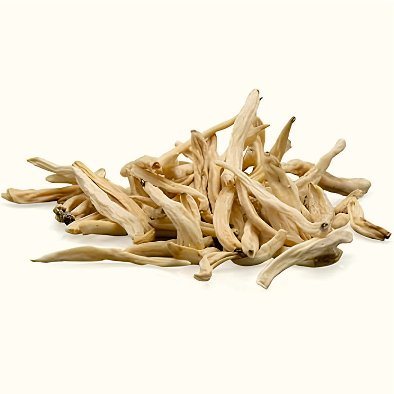 Safed Musli