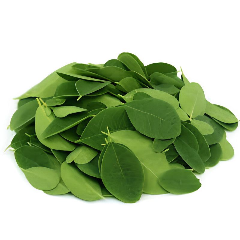 Moringa