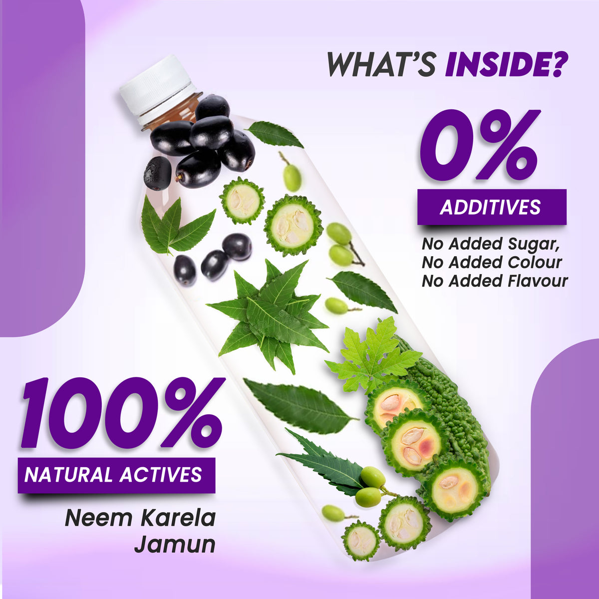 Neem Karela Jamun 750Ml